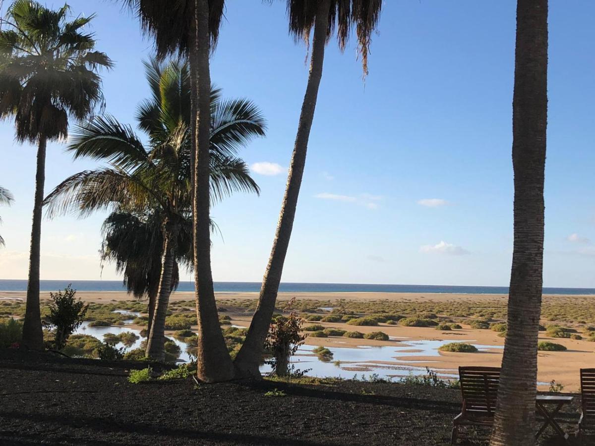 Apartament Corralejo Sun 104 Wifi Free Zewnętrze zdjęcie